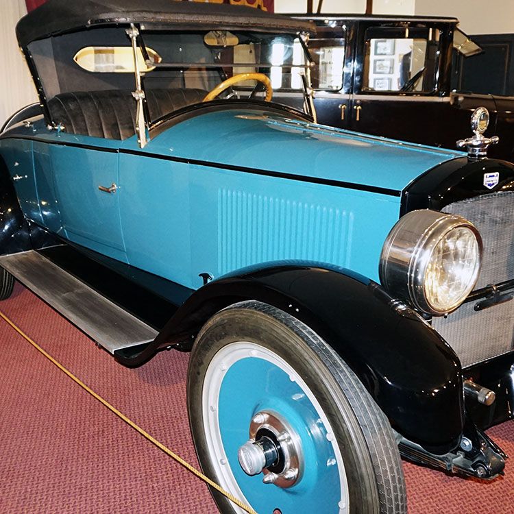1919 Auburn Beauty-Six