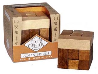 Roman Bricks Brain Teaser by Tru Genius